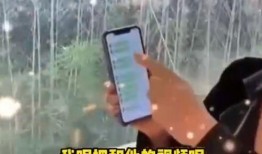 张兰爆料语音视频,揭秘背后惊人真相